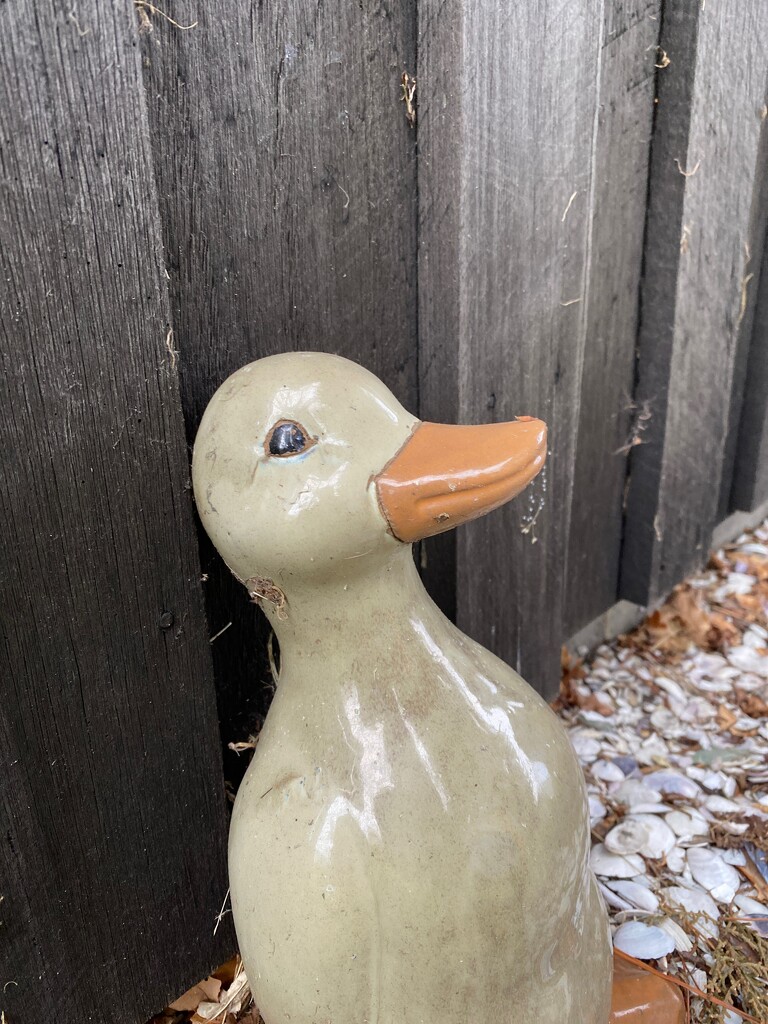 Renaissance duck. by antlamb