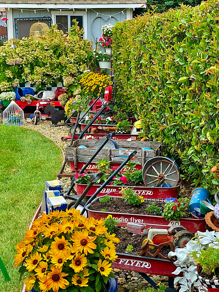 Their Little Red Wagon by gardenfolk