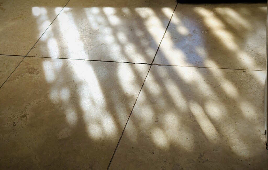 Sunlight Dancing Across the Floor by tinker_maniac