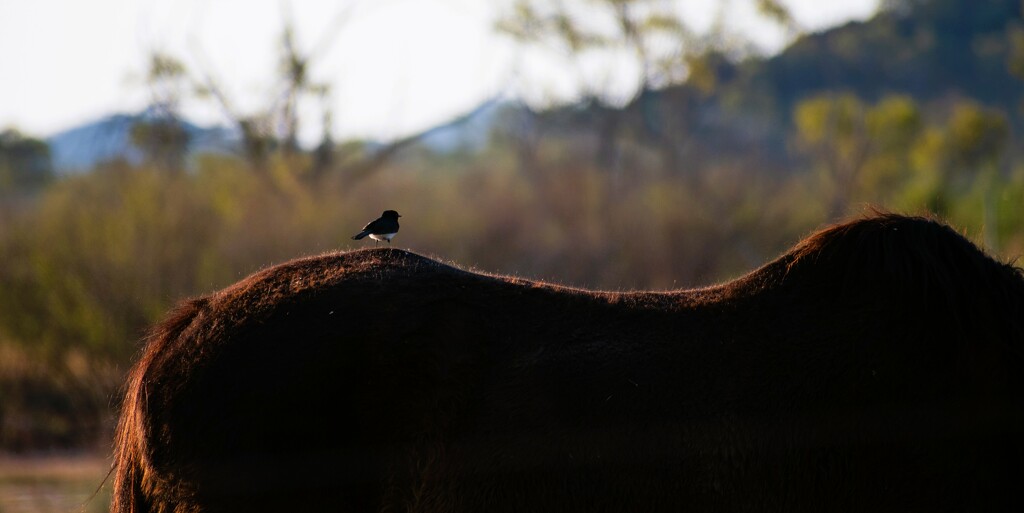 Vantage point by nannasgotitgoingon