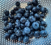 2nd Aug 2023 - Fresh Blueberries