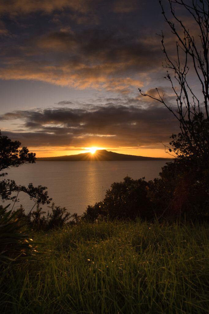 Rangitoto Island by dkbarnett