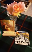 18th Aug 2023 - Rose, image of Jesus and sheep coaster.