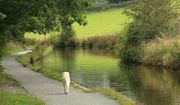 18th Aug 2023 - Towpath Trot