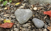 18th Aug 2023 - Heart of Stone