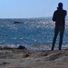 Kalbarri also has whales... by robz