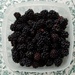 Wild Blackberries  by g3xbm