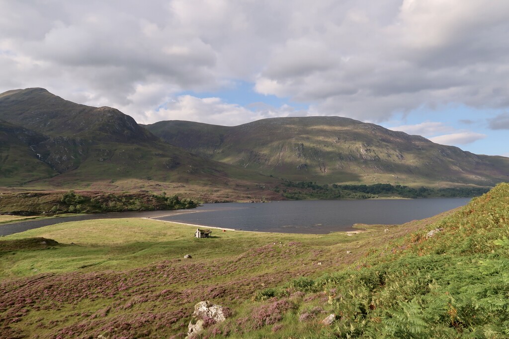 Loch Affric by jamibann