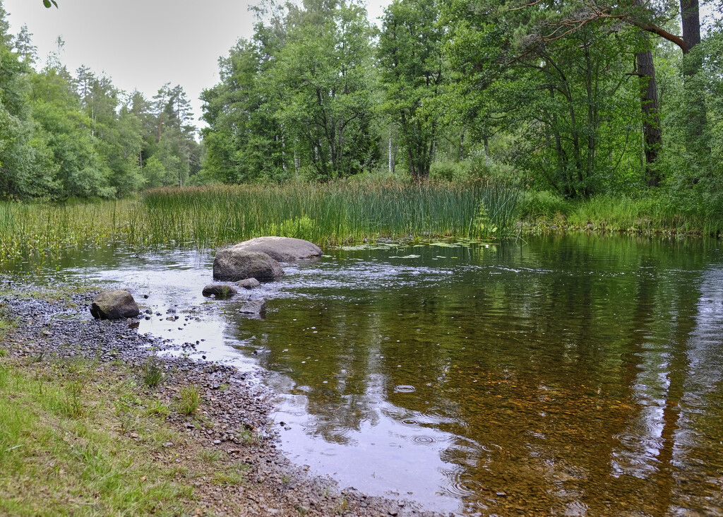 Bathing river by kametty