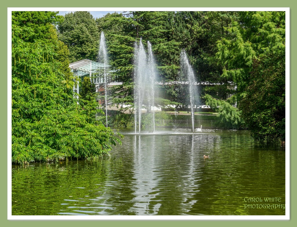Lake View,Jephson Park,Royal Leamington Spa by carolmw