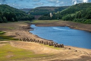 19th Aug 2023 - Derwent Reservoir 