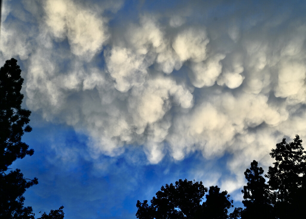 Popcorn Clouds by ososki
