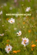 19th Aug 2023 - World Photography Day 2023