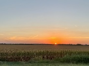 19th Aug 2023 - Kansas Sunset