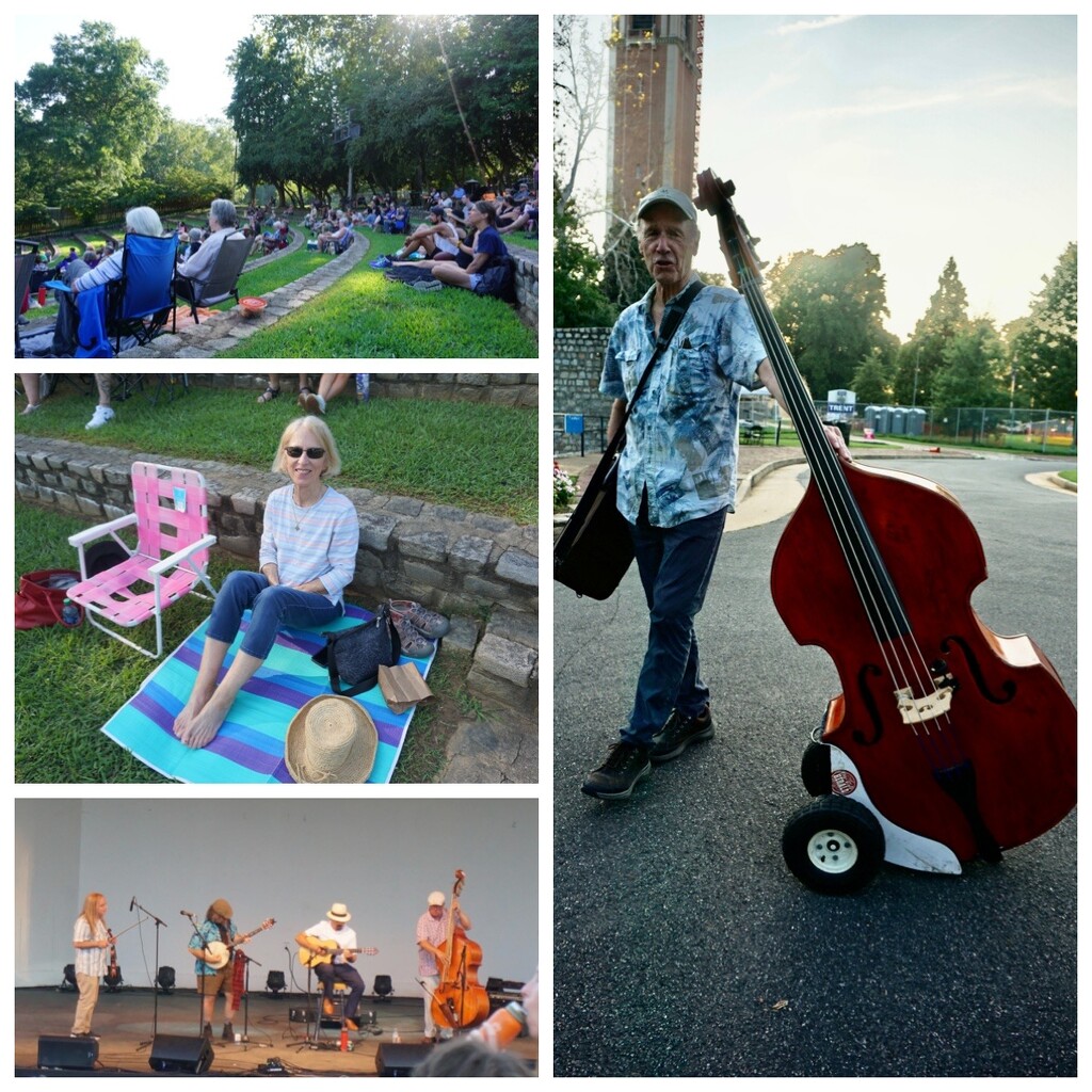 Scenes from the Fiddling Festival by allie912