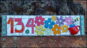 20th Aug 2023 - property mosaic number