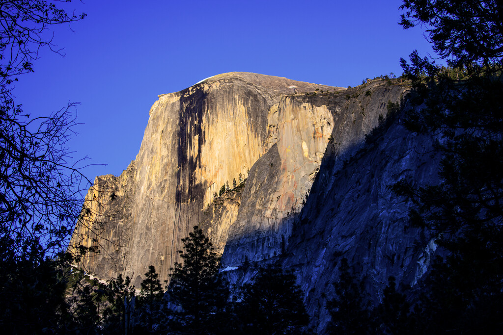 Half Dome Yosemite National Park by 365projectorgchristine