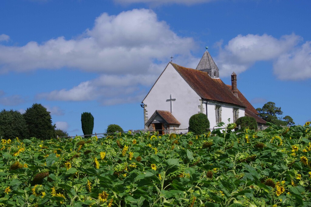 Little Church in the Sunflower Field by 30pics4jackiesdiamond