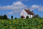 20th Aug 2023 - Little Church in the Sunflower Field