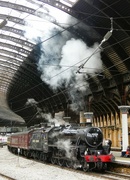 20th Aug 2023 - Steam to the Seaside