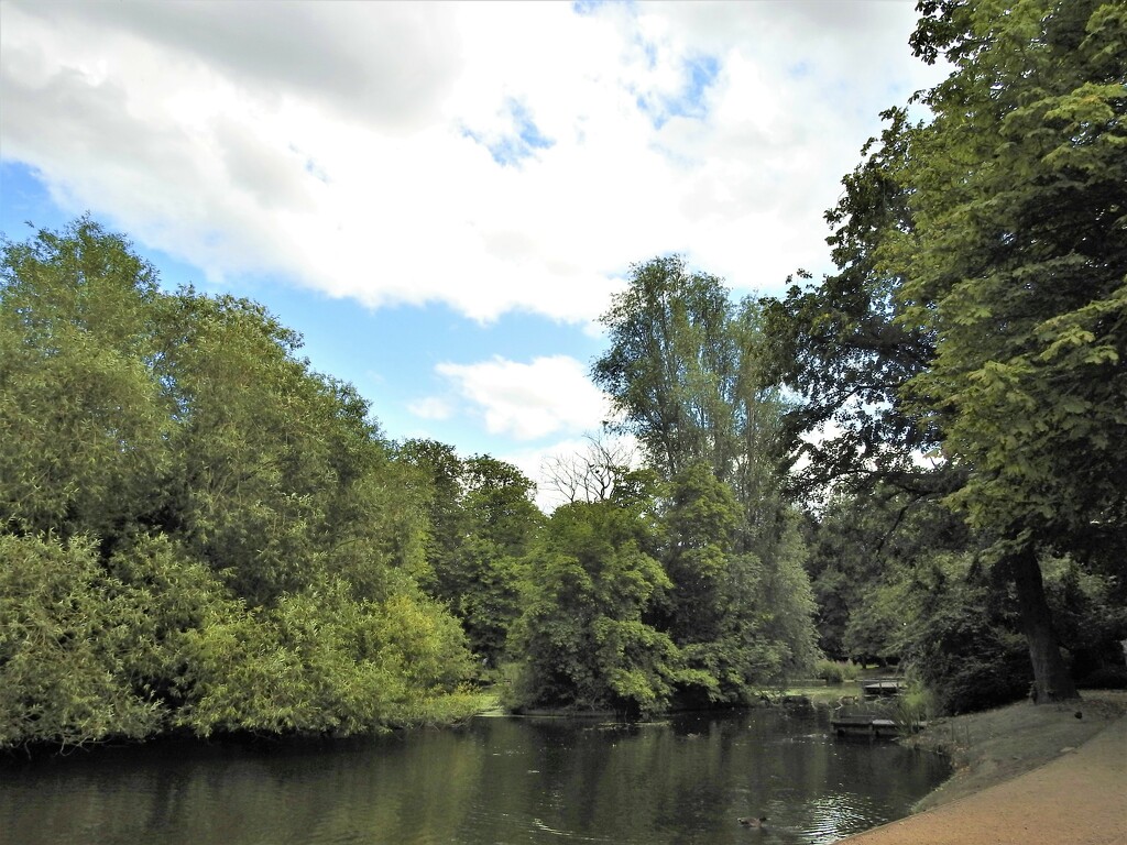 Vernon Park Pond by oldjosh