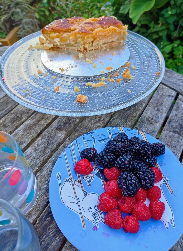 Apple cake and berries  by boxplayer