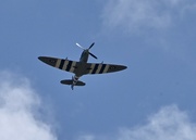 20th Aug 2023 - Spitfire 