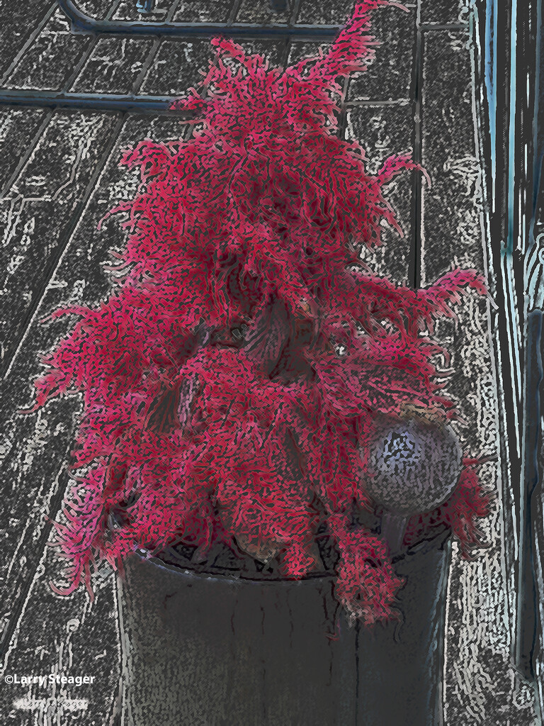 Red plant artistic by larrysphotos