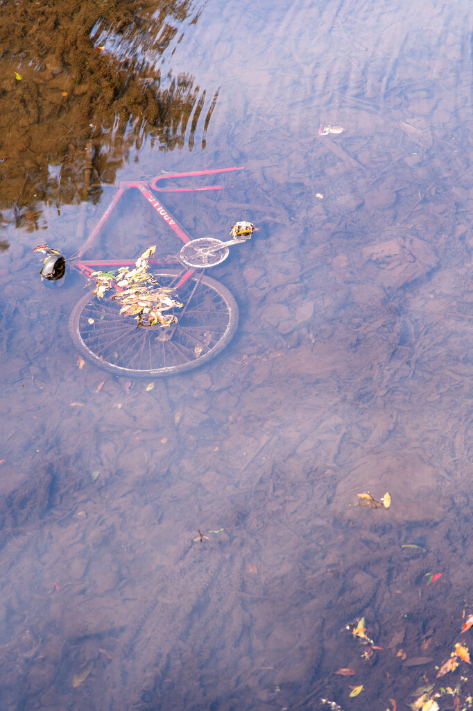 duck billed bicycle by spanner