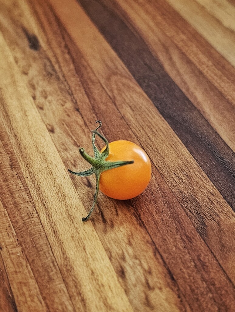 Teeny tomato by edorreandresen