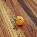 Teeny tomato by edorreandresen