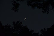 19th Aug 2023 - Crescent Moon 