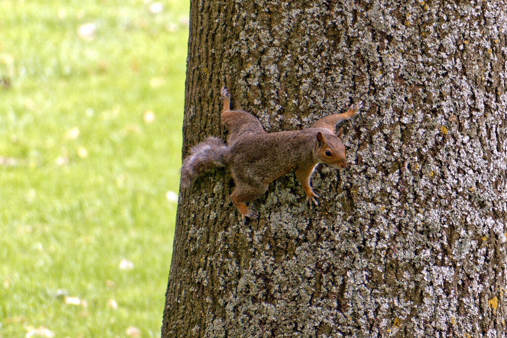 2023-08-20 Parkour by cityhillsandsea