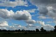 21st Aug 2023 - Clouds and Cows