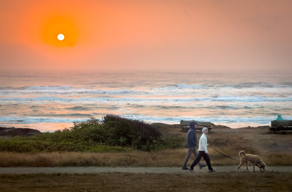 Heading Home  ~  Yachats, Oregon  by 365projectorgbilllaing