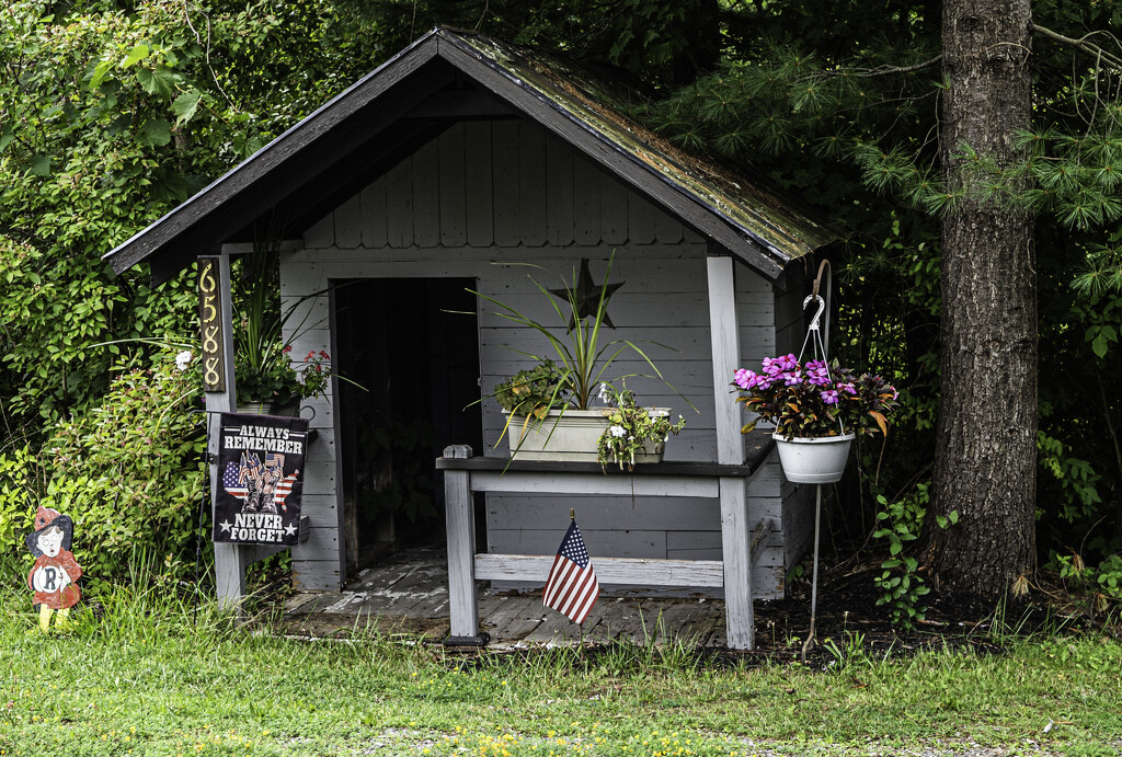 Scenes from a Country Road (1 of 1) by darchibald