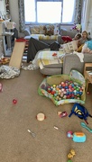 21st Aug 2023 - Never mind Nanny will clear up - apparently! 