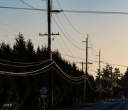 16th Aug 2023 - Evening light on electric wires
