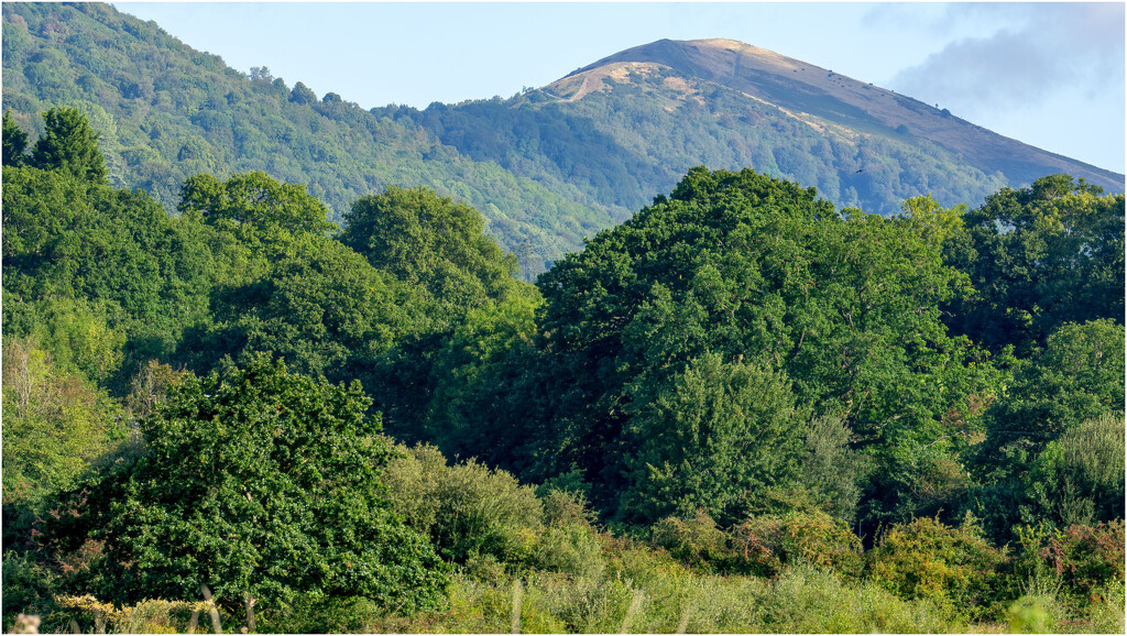 The Malverns from Casltlemorton common by clifford