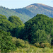 The Malverns from Casltlemorton common by clifford