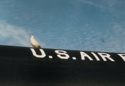 21st Aug 2023 - U.S. Air Force