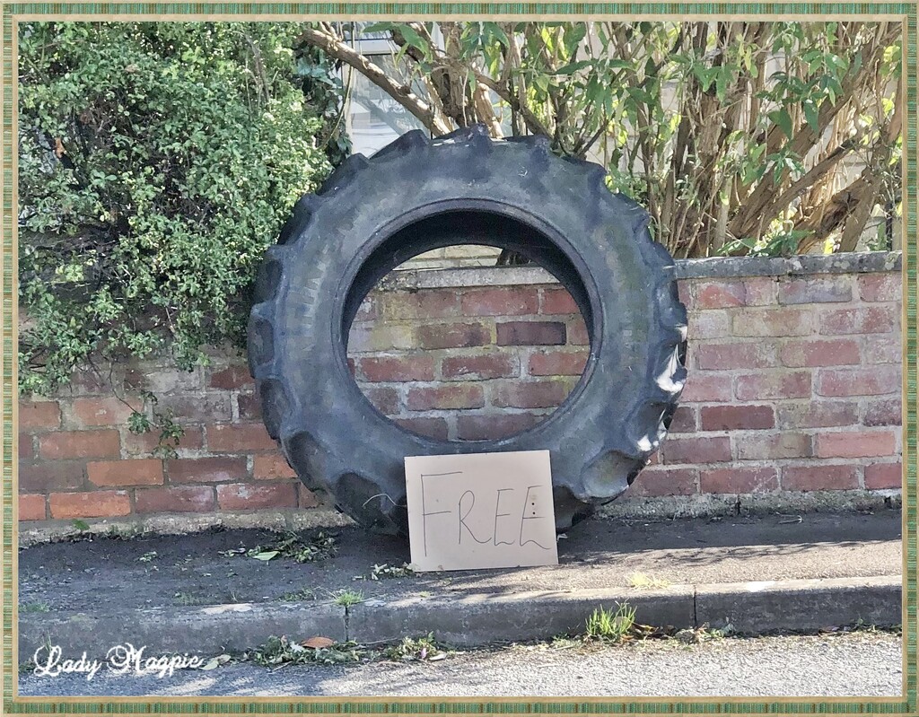 Rather Tyred by ladymagpie