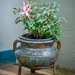 Flower pot by helstor365