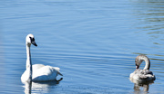 13th Aug 2023 - Parent and Child