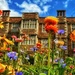 Floral Elizabethan House by carole_sandford