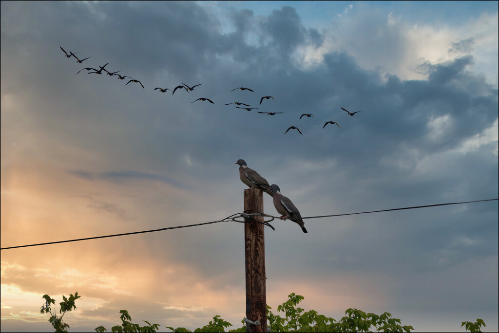 22 - Facing West by marshwader