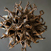 Stacked macro: Liquidamber seed pod by jeneurell