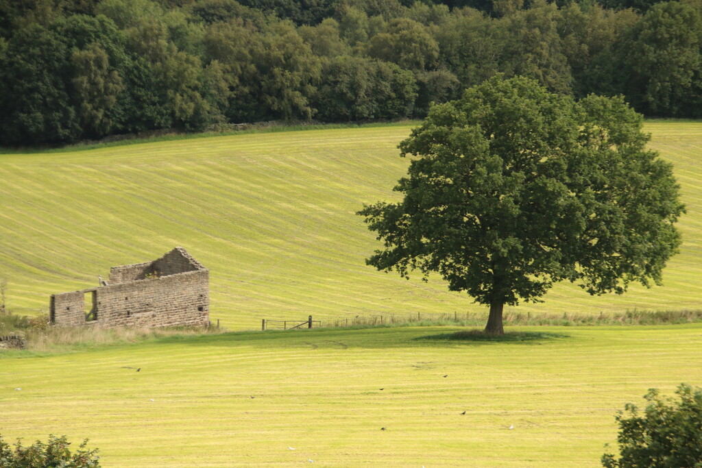 Old Barn by shepherdman