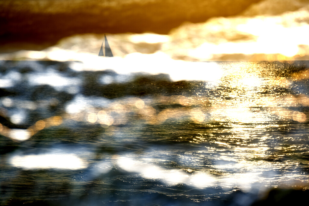 Sailing on a golden sea by dkbarnett