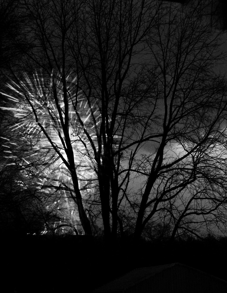 Fireworks through the trees by randystreat